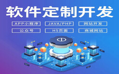 软件开发APP游戏制作公众号制作运营OA制作